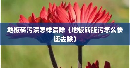 地板砖污渍怎样清除（地板砖脏污怎么快速去除）
