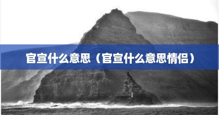 官宣什么意思（官宣什么意思情侣）