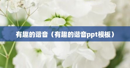 有趣的谐音（有趣的谐音ppt模板）