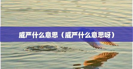 威严什么意思（威严什么意思呀）