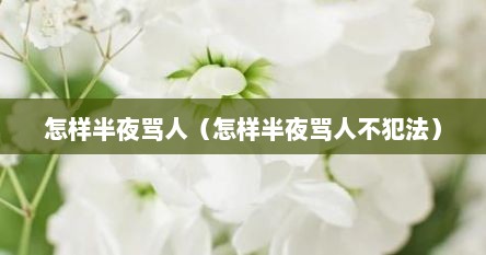 怎样半夜骂人（怎样半夜骂人不犯法）