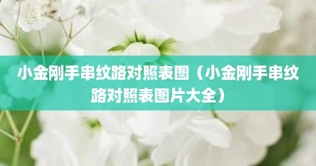 小金刚手串纹路对照表图（小金刚手串纹路对照表图片大全）