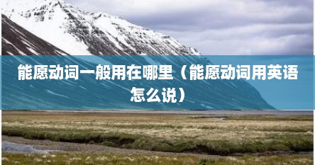 能愿动词一般用在哪里（能愿动词用英语怎么说）