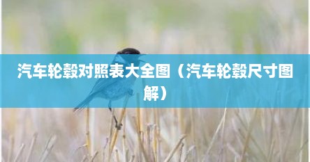 汽车轮毂对照表大全图（汽车轮毂尺寸图解）