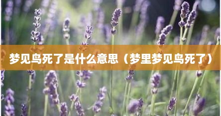 梦见鸟死了是什么意思（梦里梦见鸟死了）