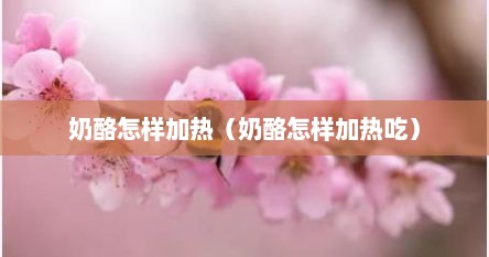 奶酪怎样加热（奶酪怎样加热吃）