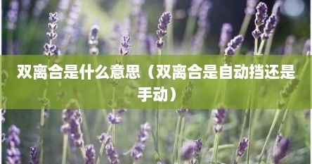双离合是什么意思（双离合是自动挡还是手动）