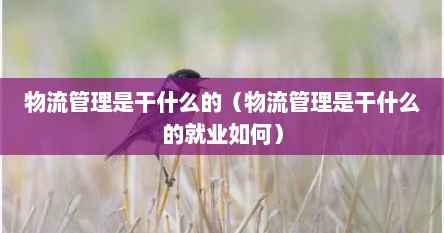 物流管理是干什么的（物流管理是干什么的就业如何）