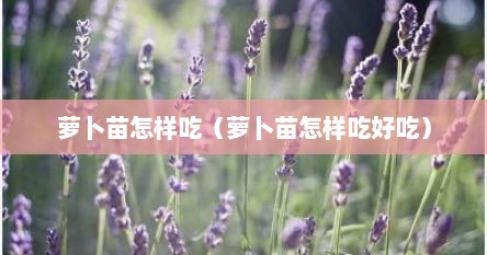 萝卜苗怎样吃（萝卜苗怎样吃好吃）