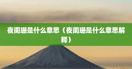 夜阑珊是什么意思（夜阑珊是什么意思解释）