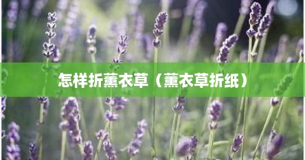 怎样折薰衣草（薰衣草折纸）
