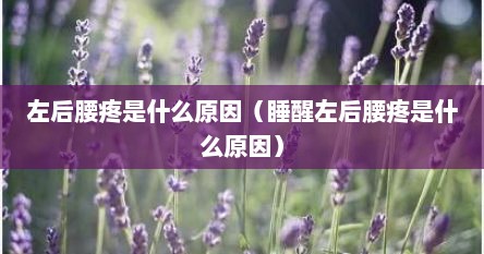 左后腰疼是什么原因（睡醒左后腰疼是什么原因）