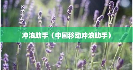 冲浪助手（中国移动冲浪助手）