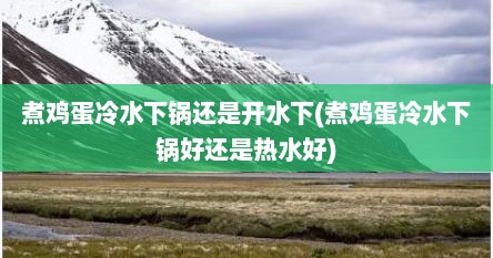 煮鸡蛋冷水下锅还是开水下(煮鸡蛋冷水下锅好还是热水好)