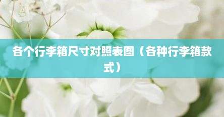 各个行李箱尺寸对照表图（各种行李箱款式）