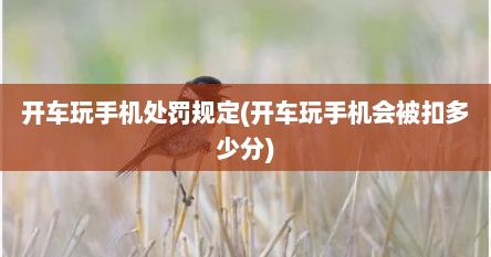 开车玩手机处罚规定(开车玩手机会被扣多少分)