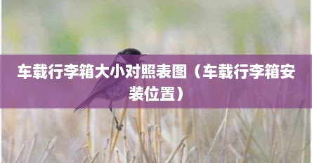 车载行李箱大小对照表图（车载行李箱安装位置）