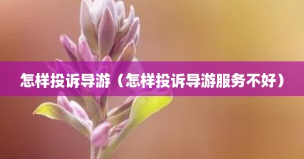 怎样投诉导游（怎样投诉导游服务不好）