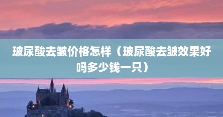 玻尿酸去皱价格怎样（玻尿酸去皱效果好吗多少钱一只）