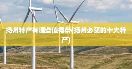 扬州特产有哪些值得带(扬州必买的十大特产)