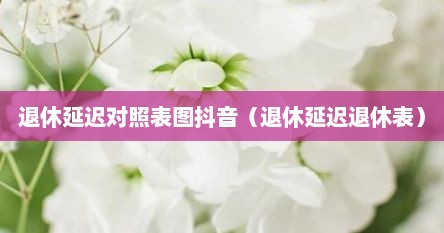 退休延迟对照表图抖音（退休延迟退休表）