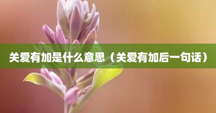 关爱有加是什么意思（关爱有加后一句话）