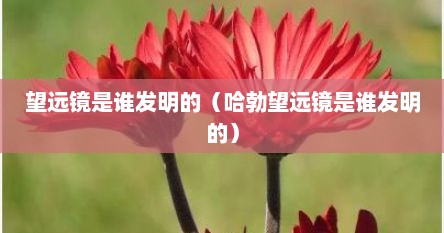 望远镜是谁发明的（哈勃望远镜是谁发明的）