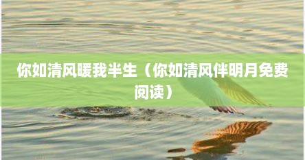 你如清风暖我半生（你如清风伴明月免费阅读）