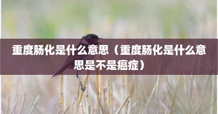 重度肠化是什么意思（重度肠化是什么意思是不是癌症）