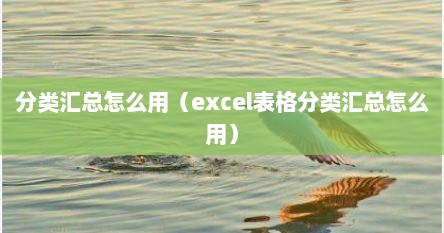分类汇总怎么用（excel表格分类汇总怎么用）
