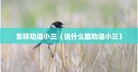 怎样劝退小三（说什么能劝退小三）