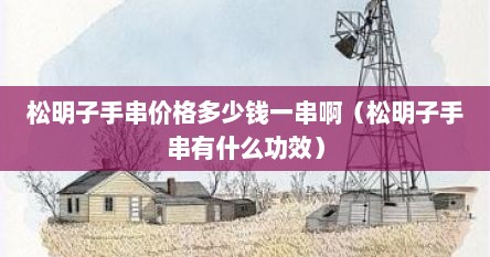 松明子手串价格多少钱一串啊（松明子手串有什么功效）