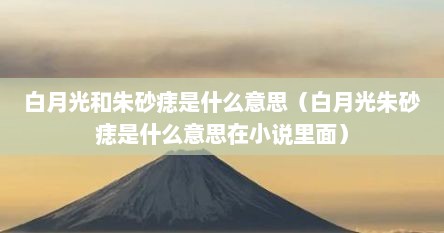 白月光和朱砂痣是什么意思（白月光朱砂痣是什么意思在小说里面）