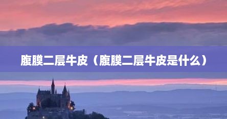 腹膜二层牛皮（腹膜二层牛皮是什么）
