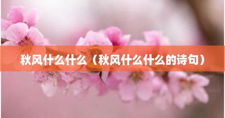 秋风什么什么（秋风什么什么的诗句）