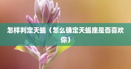 怎样判定天蝎（怎么确定天蝎座是否喜欢你）