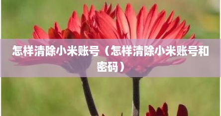怎样清除小米账号（怎样清除小米账号和密码）