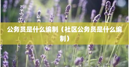 公务员是行政编事业编是什么（社区公务员和机关公务员的区别）