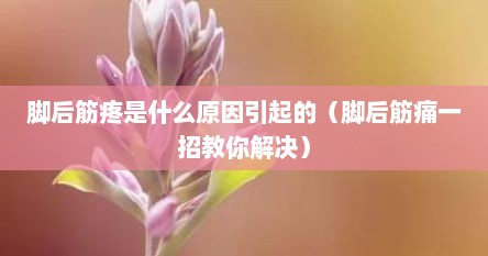 脚后筋疼是什么原因引起的（脚后筋痛一招教你解决）