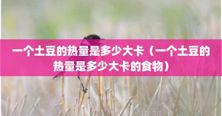 一个土豆的热量是多少大卡（一个土豆的热量是多少大卡的食物）