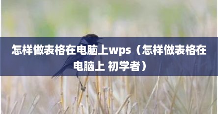 怎样做表格在电脑上wps（怎样做表格在电脑上 初学者）