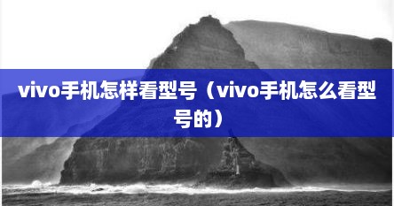 vivo手机怎样看型号（vivo手机怎么看型号的）