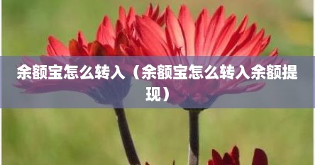 余额宝怎么转入（余额宝怎么转入余额提现）