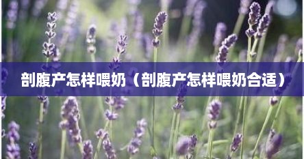 剖腹产怎样喂奶（剖腹产怎样喂奶合适）