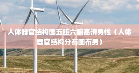 人体器官结构图五脏六腑高清男性（人体器官结构分布图布男）