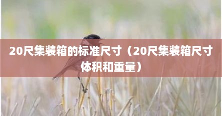 20尺集装箱的标准尺寸（20尺集装箱尺寸体积和重量）