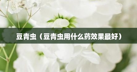 豆青虫（豆青虫用什么药效果最好）