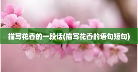 描写花香的一段话(描写花香的语句短句)