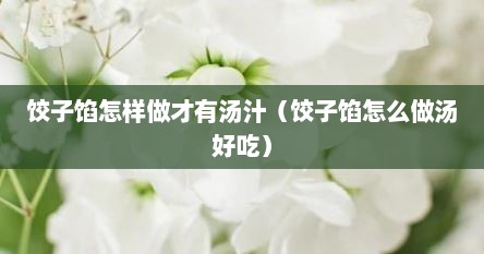 饺子馅怎样做才有汤汁（饺子馅怎么做汤好吃）