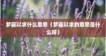 梦寐以求什么意思（梦寐以求的意思是什么呀）